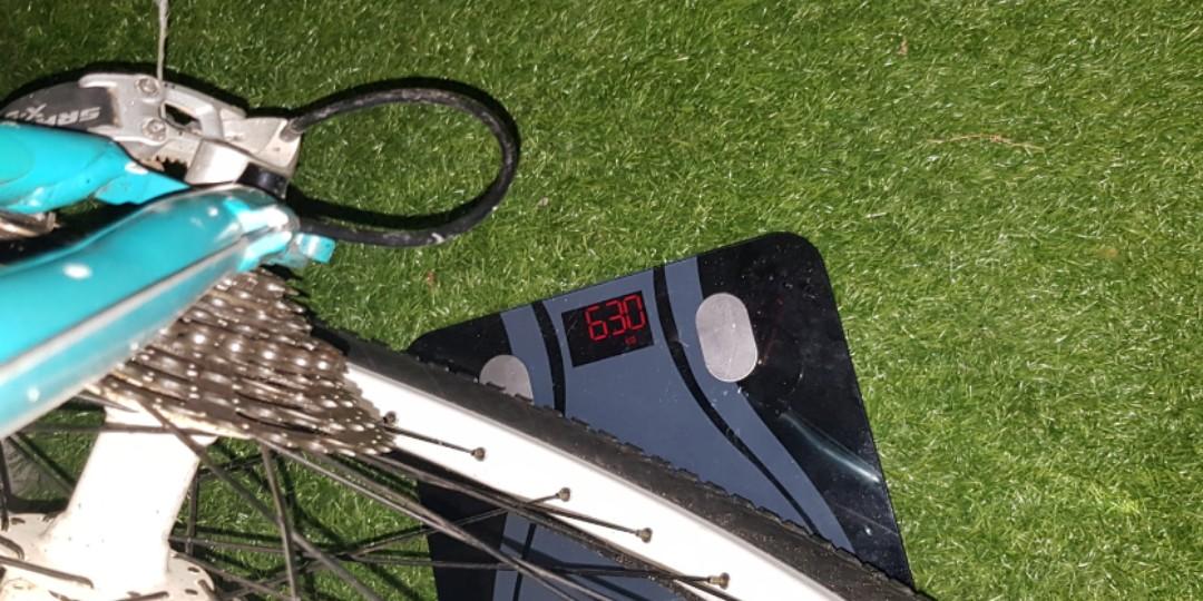 Giant stp 1 2025 price