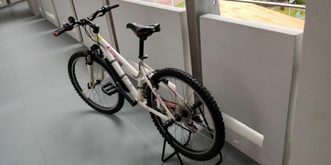GT AGGRESSOR Ladies teen MTB 24 Sports Equipment Bicycles Parts Bicycles on Carousell