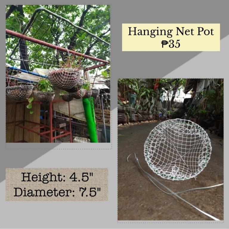 Hanging Pots For Sale Gardening Garden Tools Supplies On Carousell