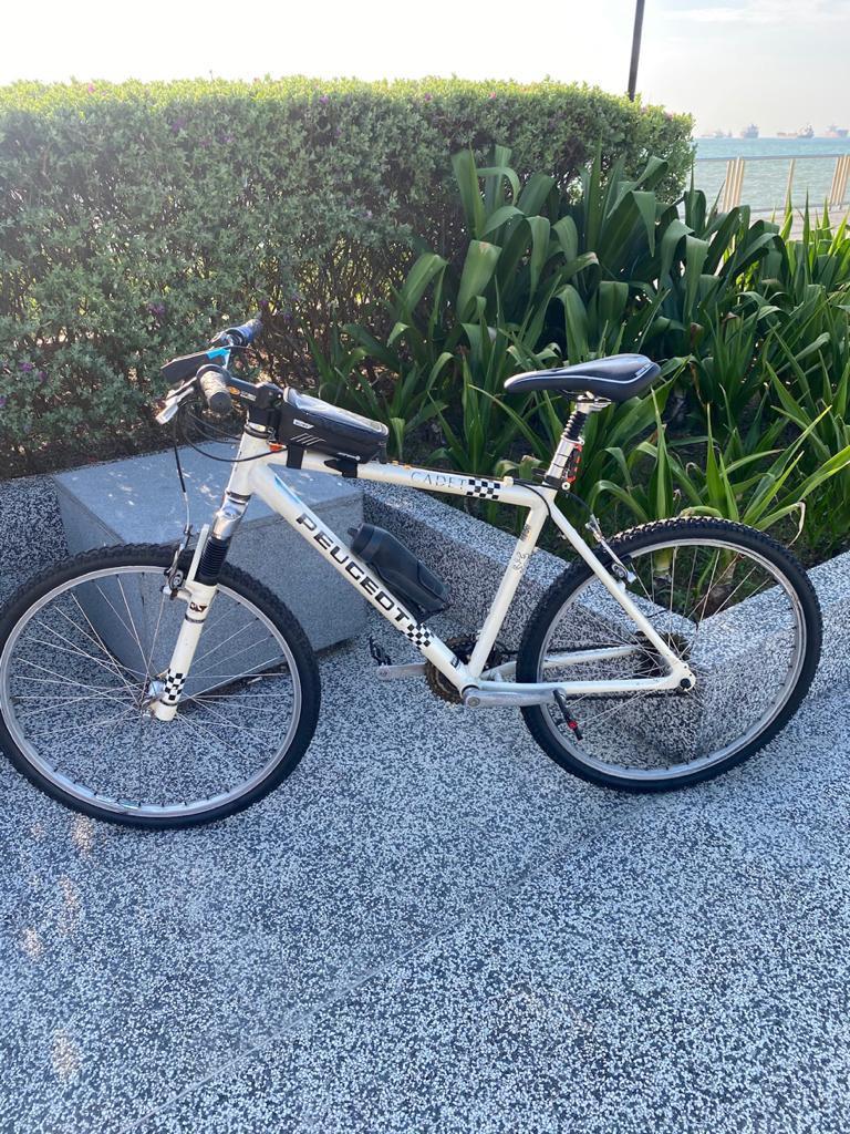 Peugeot cadet mountain bike new arrivals