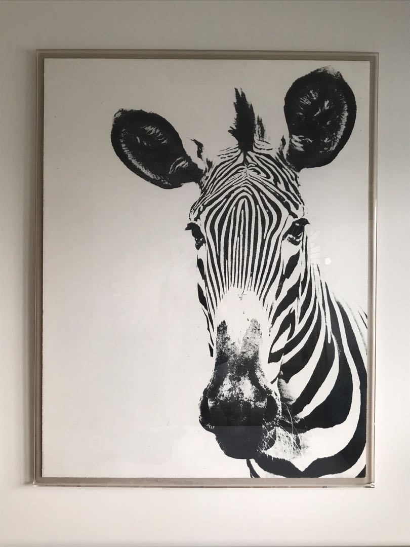 Painting Zebra Acrylic Cover Design Craft Art Prints On Carousell