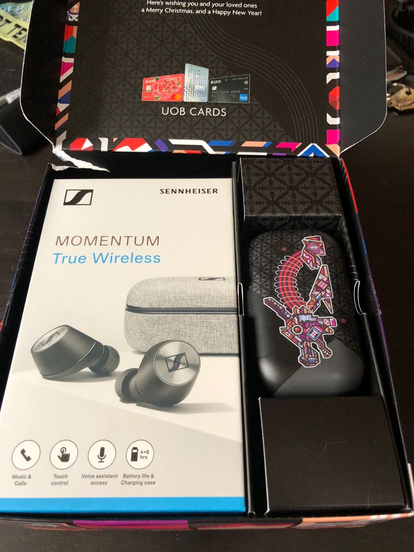 sennheiser momentum case cover
