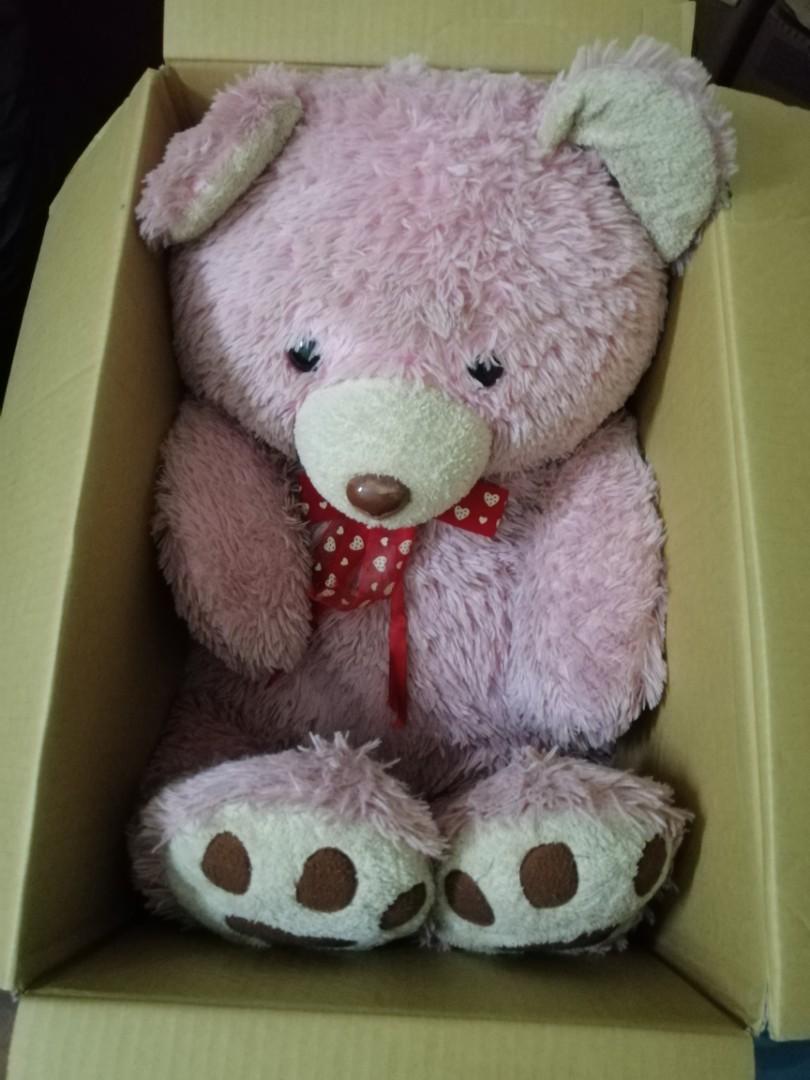 kedai jual teddy bear