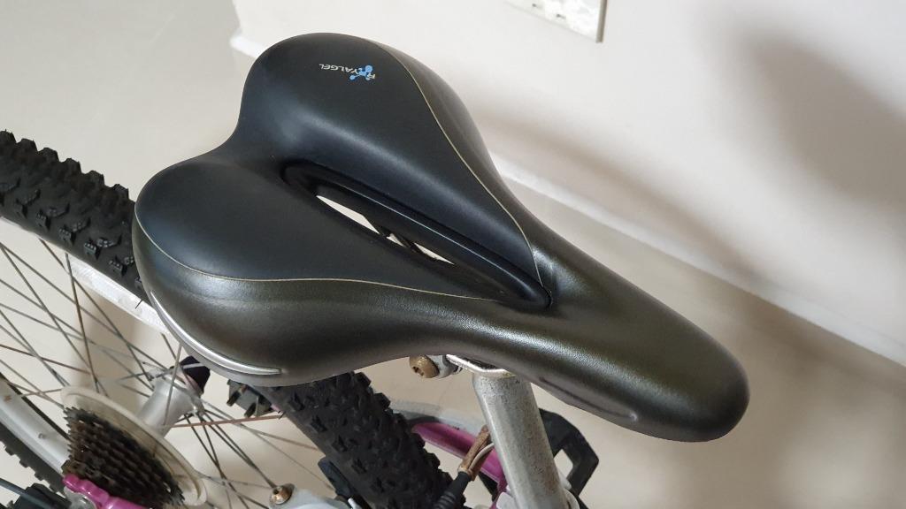 Trek MT220 Girl s bike 2013 tyres are flat Sports Equipment