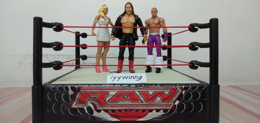 wwe action figure arena
