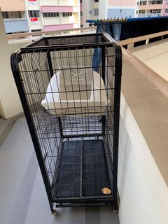(Category: ) located in . Submitted by mumbella (Listing ID 1025616941, Image 1). Description: .