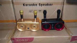 307 karaoke with 2 digital mic