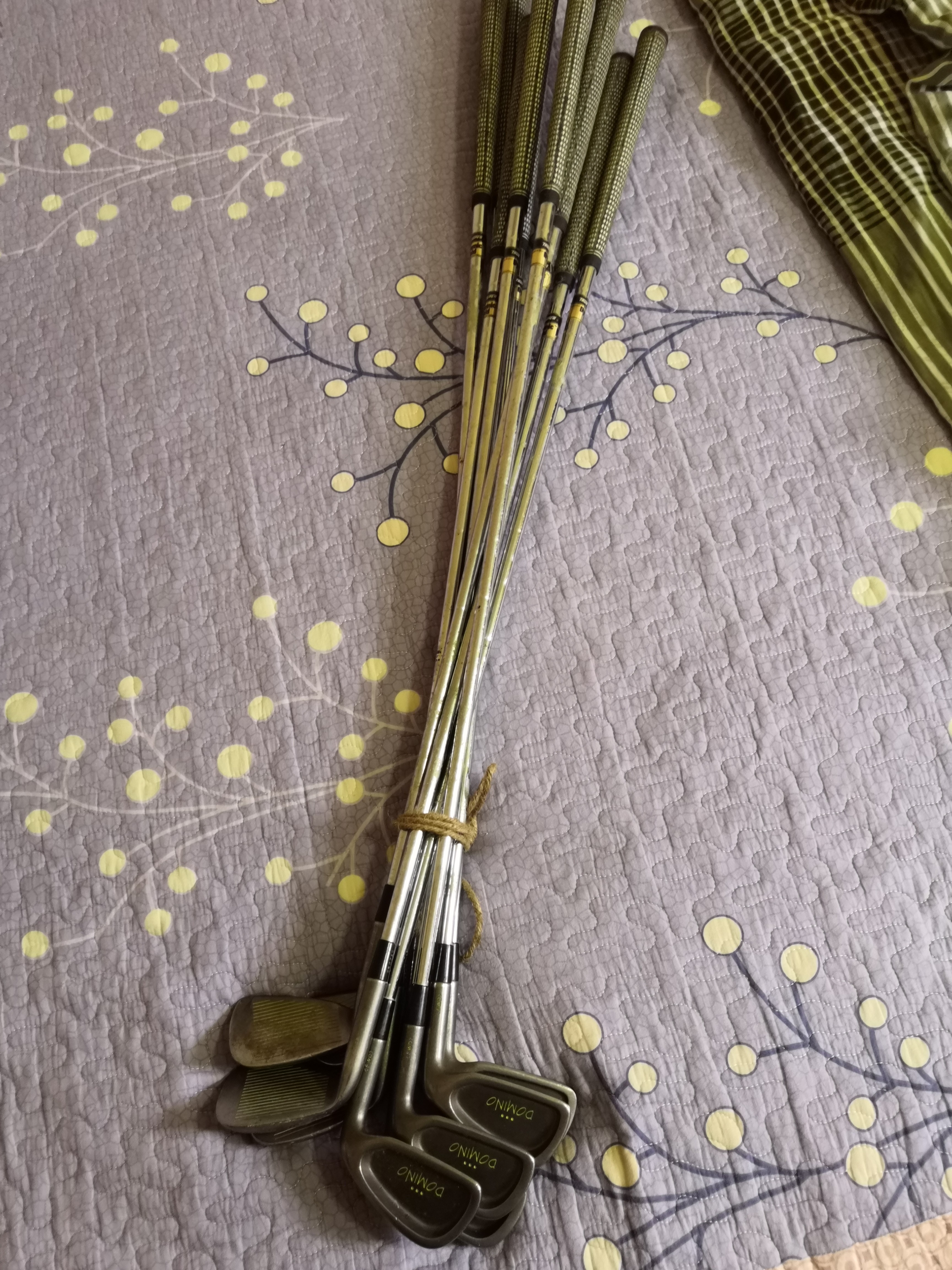 Mizuno domino shop irons