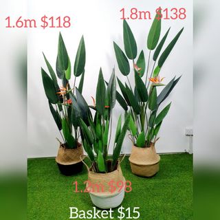 (Category: ) located in . Submitted by artificialsg (Listing ID 1025785886, Image 1). Description: .