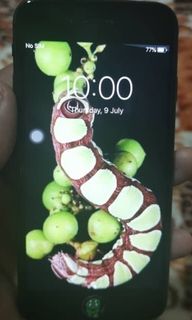(Category: ) located in . Submitted by hidayathaze93 (Listing ID 1025799113, Image 1). Description: .
