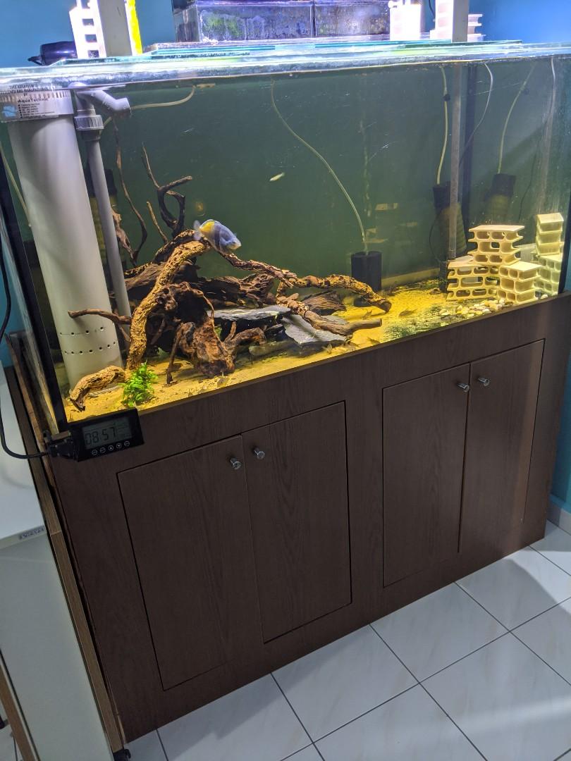 used aquarium fish tanks for sale