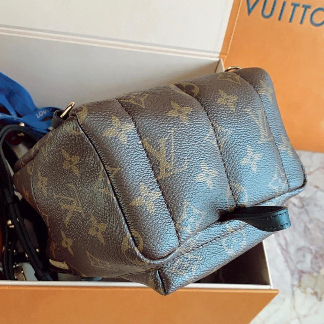 Louis Vuitton Palm Springs Mini Backpack - Rashmi Bhanja