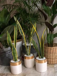 (Category: ) located in . Submitted by declutter.val (Listing ID 1025590897, Image 1). Description: .