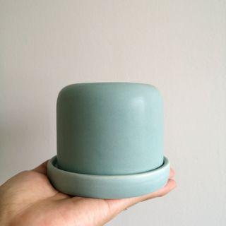 SALE! Planter Pot with Fixed Tray