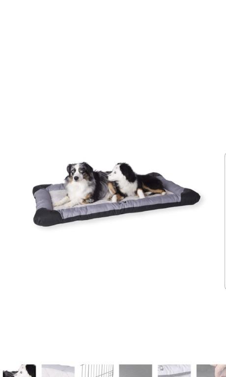 Sealy Chew Resistant Quilted Memory