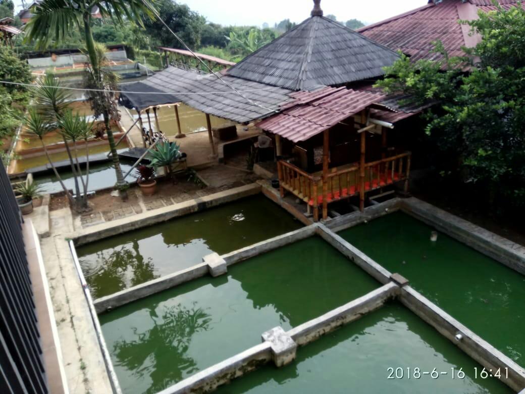 50 Jual Rumah  Ada Kolam Ikan Di  Bogor  Rumah  Minimalis