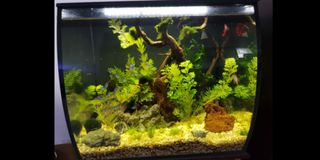 (Category: ) located in . Submitted by jdjason (Listing ID 1032011011, Image 1). Description: .