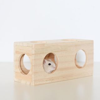 (Category: ) located in . Submitted by hammowheels (Listing ID 1024372525, Image 1). Description: .