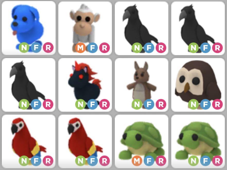 Nfr Parrot Owl Crow Blue Dog Evil Unicorn Turtle Adopt Me Roblox Toys Games Video Gaming In Game Products On Carousell - legendary roblox adopt me turtle