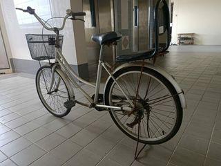 bike with extra seat