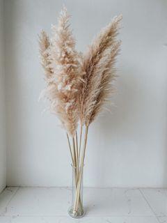 Luxe Fluffy Pampas