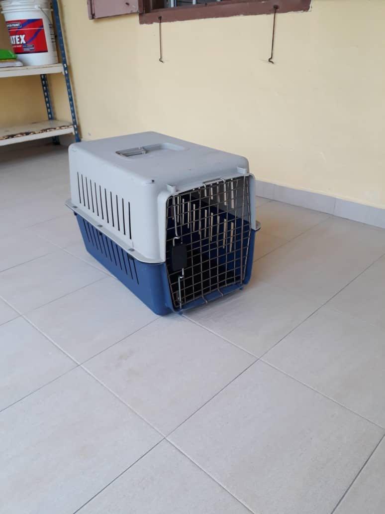 Pet Dog Cat Carrier Portable Travel Kennel Beg 60x38x38cm Pet Supplies Pet Accessories On Carousell