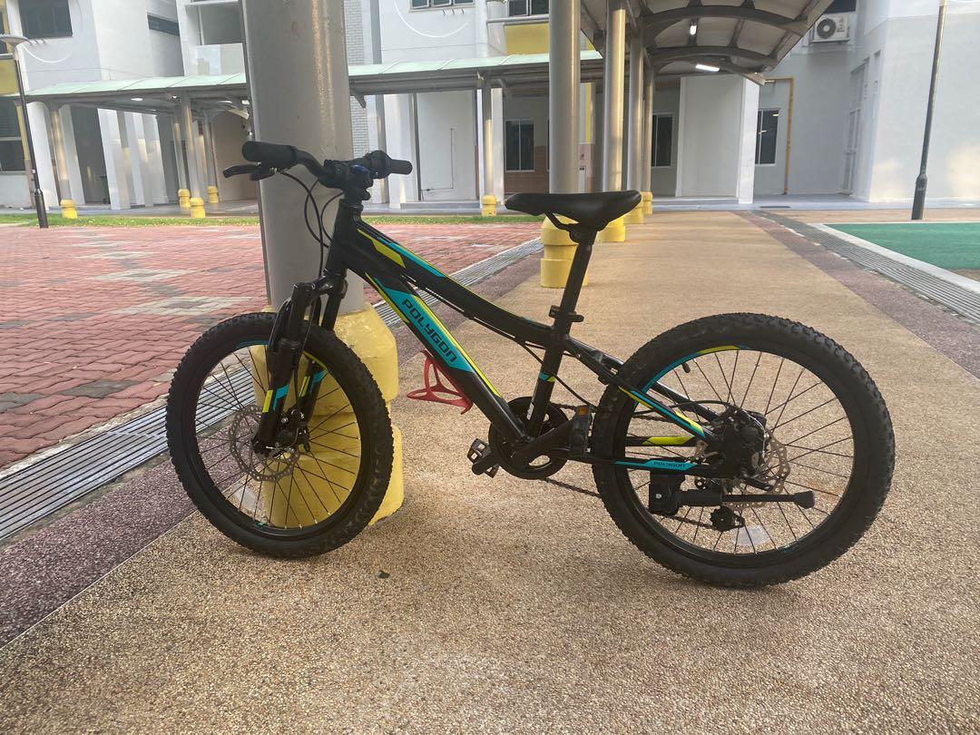 Polygon Relic 20 Kids Mountainbike