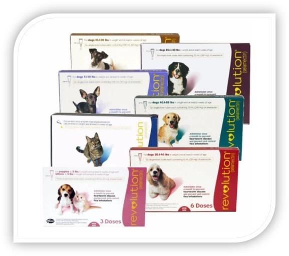 Revolution for dogs on cats shop