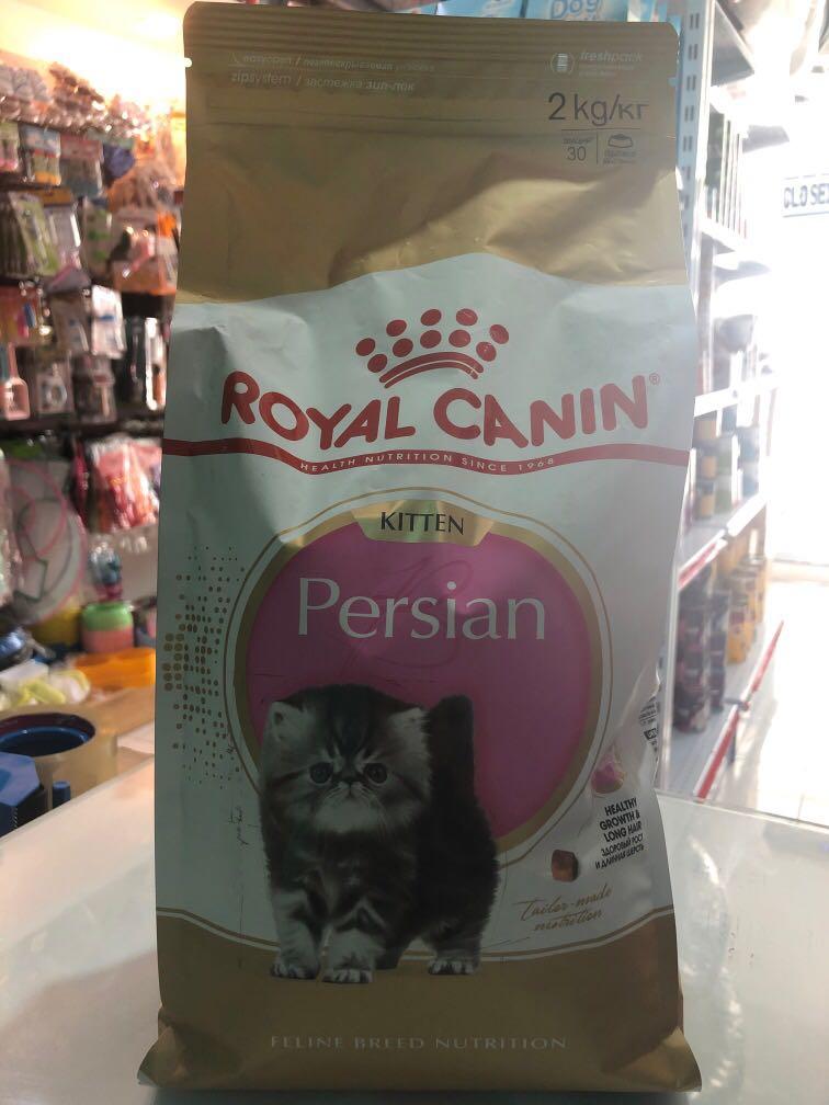 Royal Canin Persian Kitten Pets Supplies Pet Food On Carousell