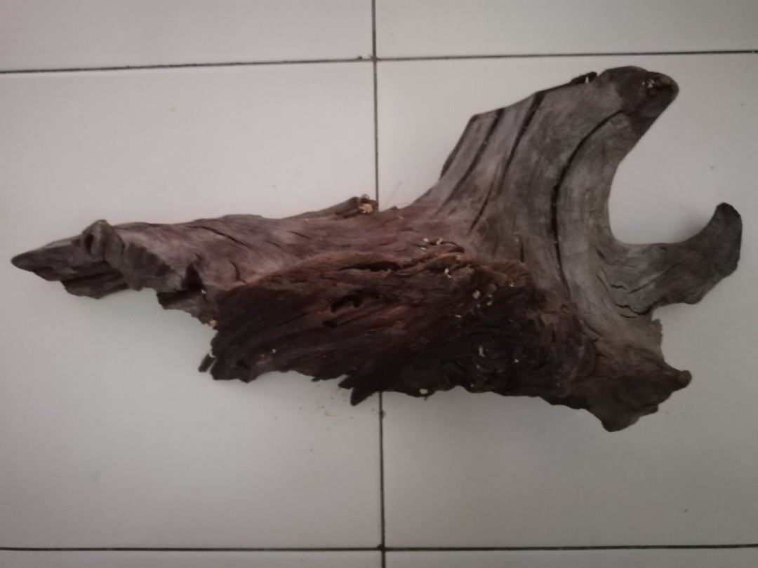 Selling driftwood, Furniture & Home Living, Gardening, Plants & Seeds on Carousell