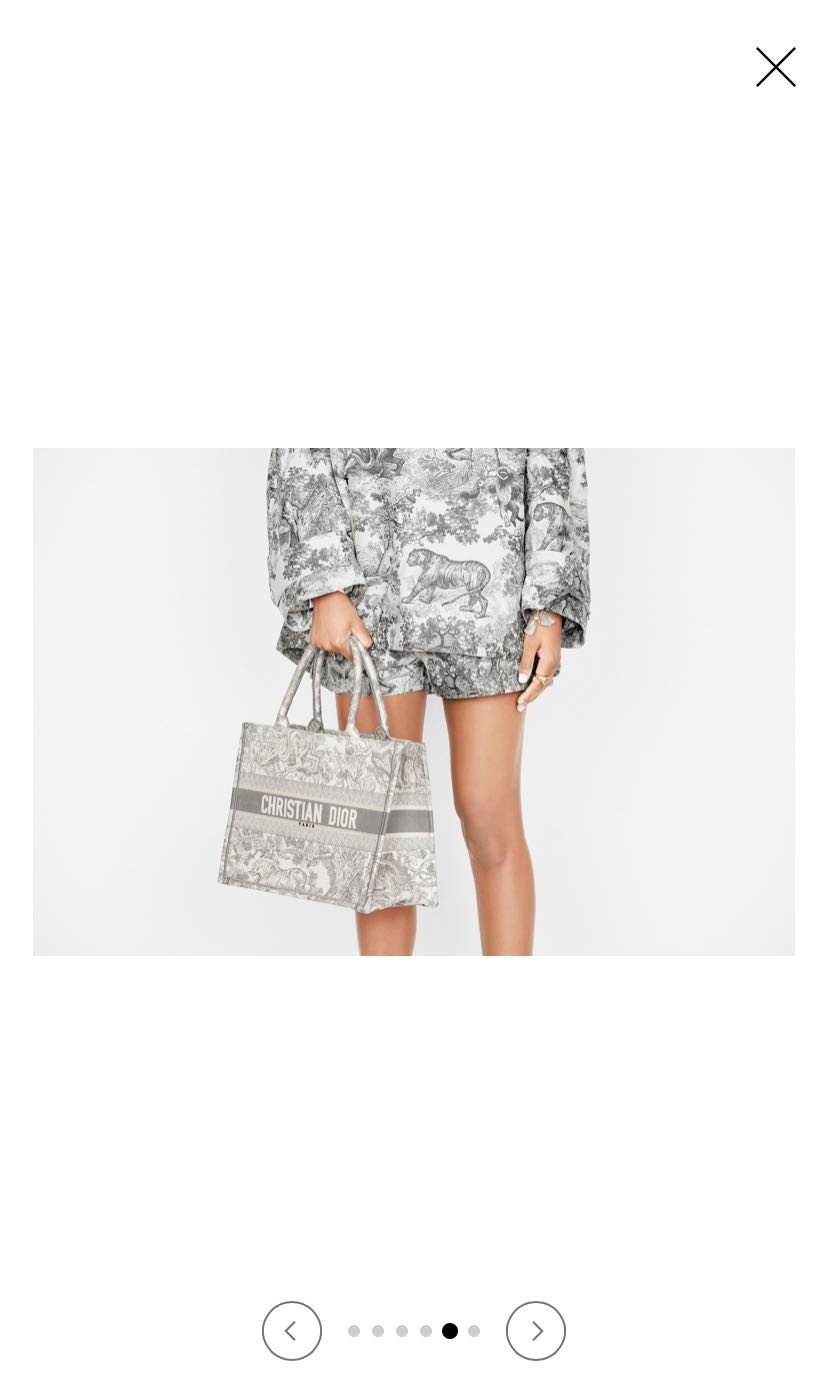Small dioriviera dior 2025 book tote price