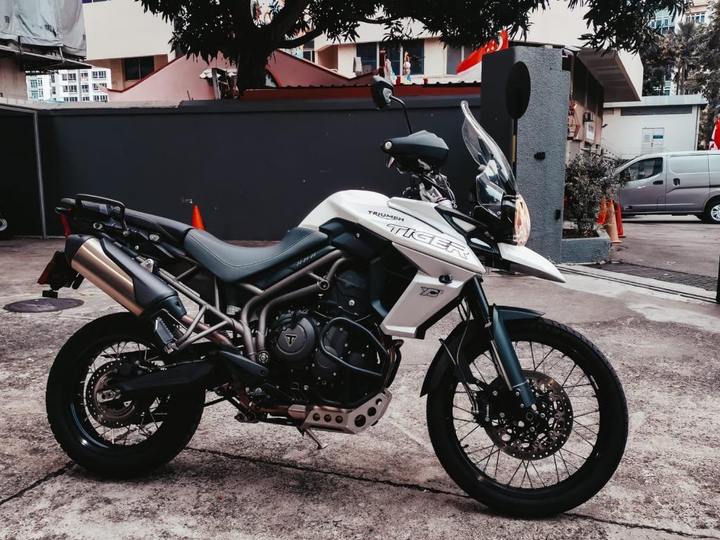 used triumph tiger
