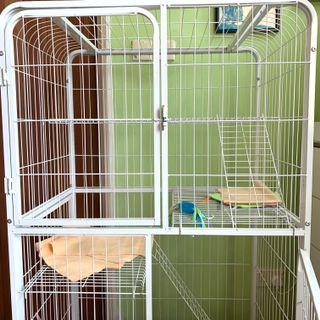 (Category: ) located in . Submitted by paintndime (Listing ID 1025837164, Image 1). Description: .