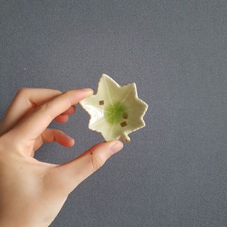 （分類：）位於 。 由 serena.kr 提交（商品編號 1025822066，圖片 1）。簡介： 。