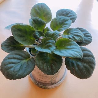 （分類：）位於 。 由 decoupage_dream 提交（商品編號 1025997714，圖片 1）。簡介： 。