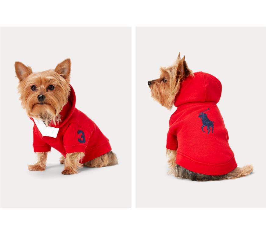 Ralph lauren dog store hoodie