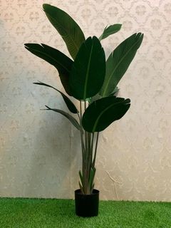 (Category: ) located in . Submitted by H.H_Trading (Listing ID 1025998339, Image 1). Description: .