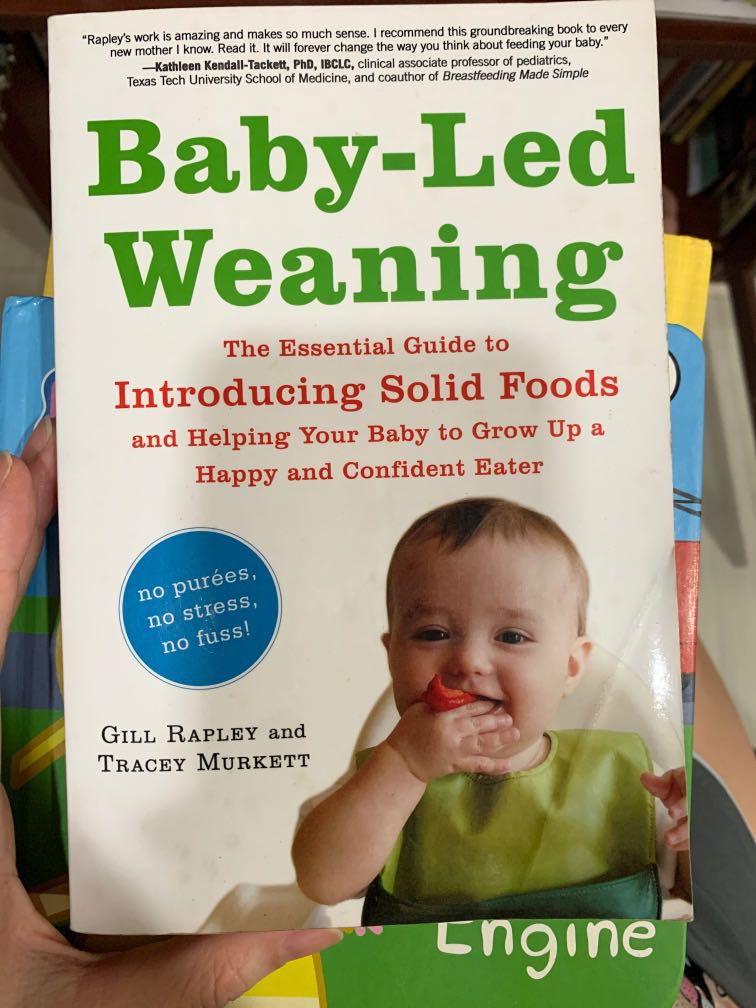 baby led feeding book