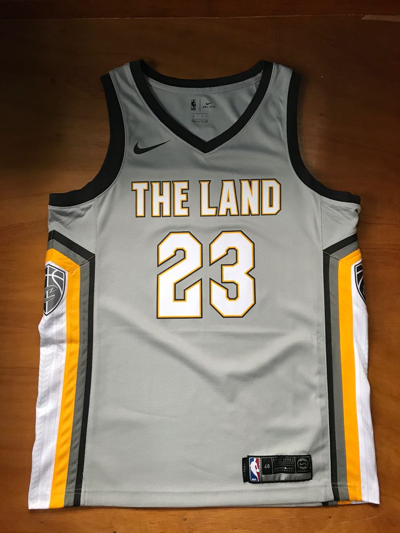 lebron james the land jersey