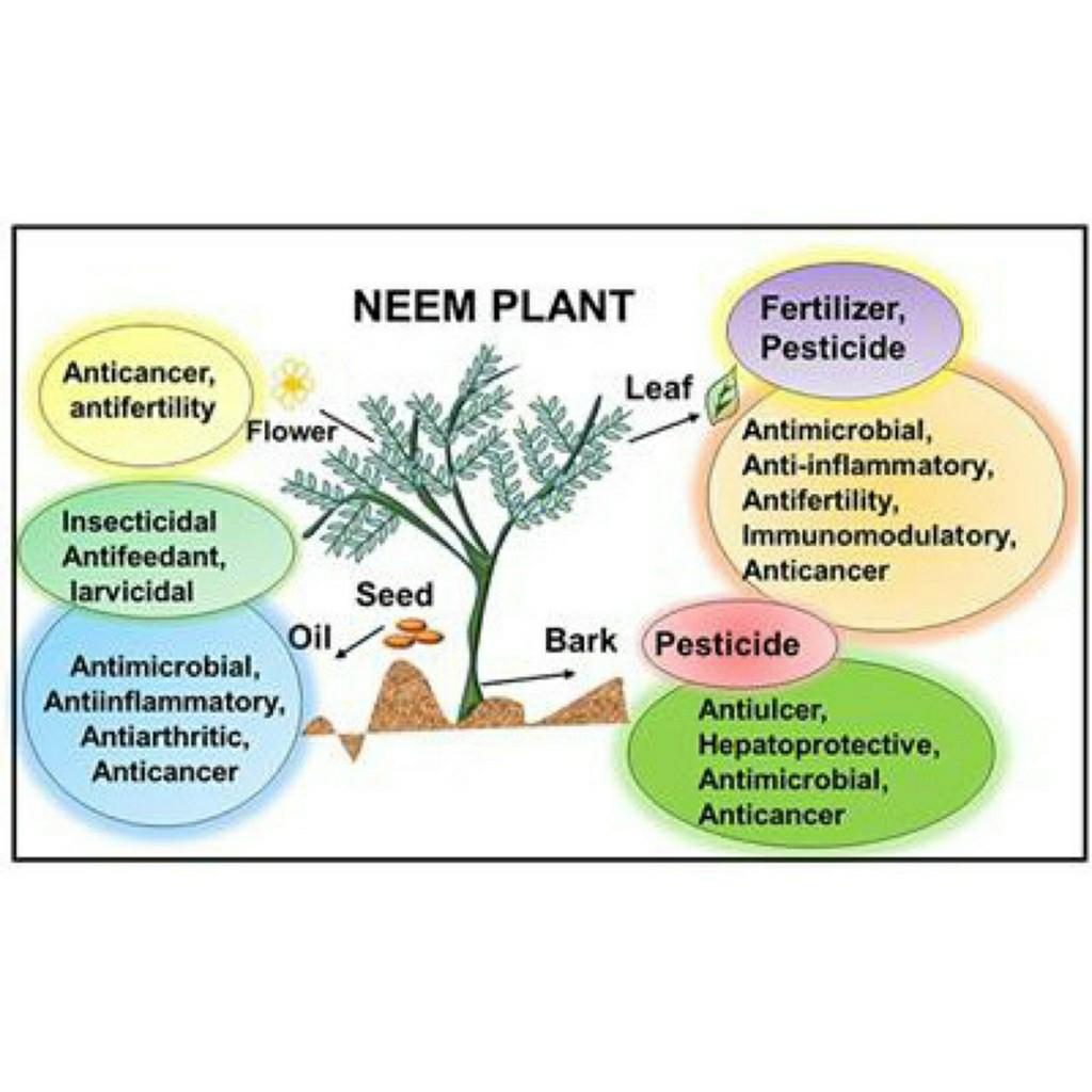 Mr Ganick Pesticide Dr Neem, Scale Terminator, Super Margosa, Organic
