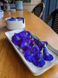 Organic blue pea flowers (fresh and dried)