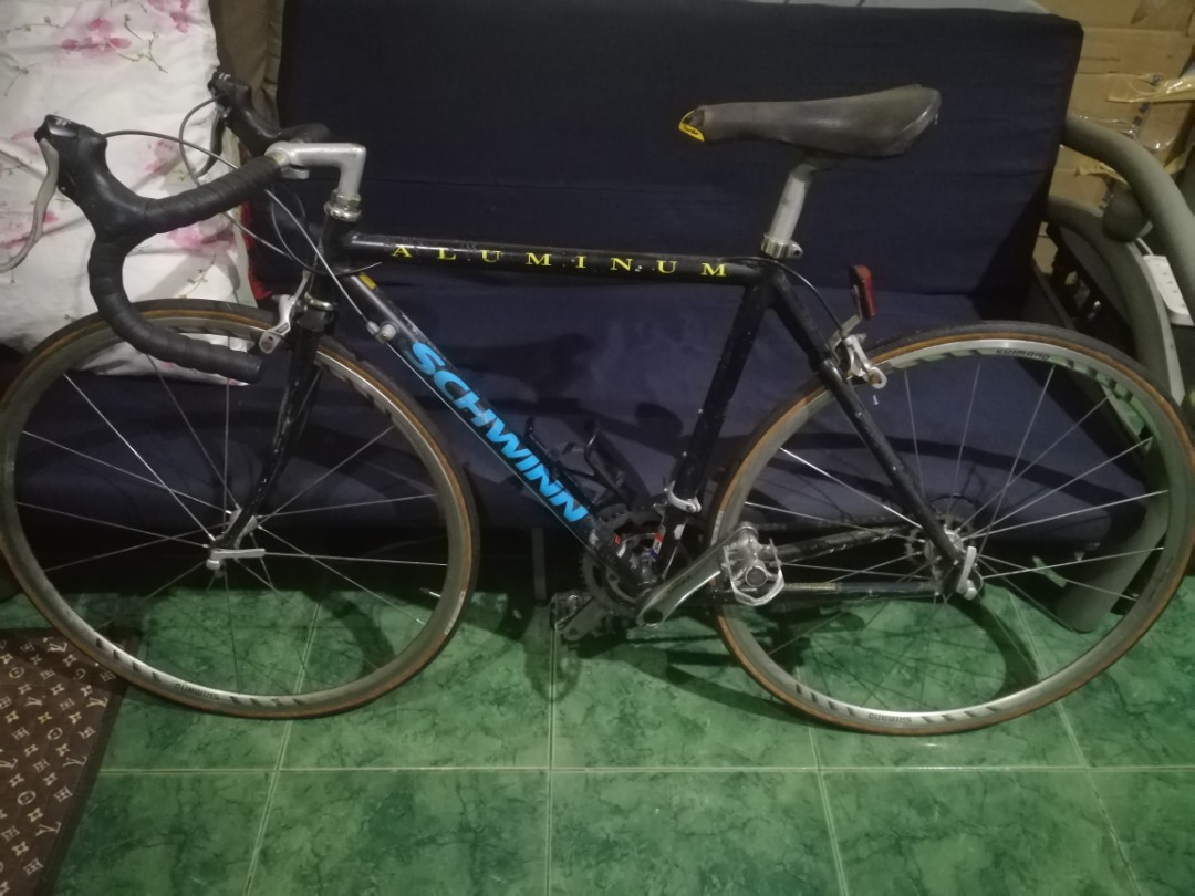 schwinn gremlin vintage
