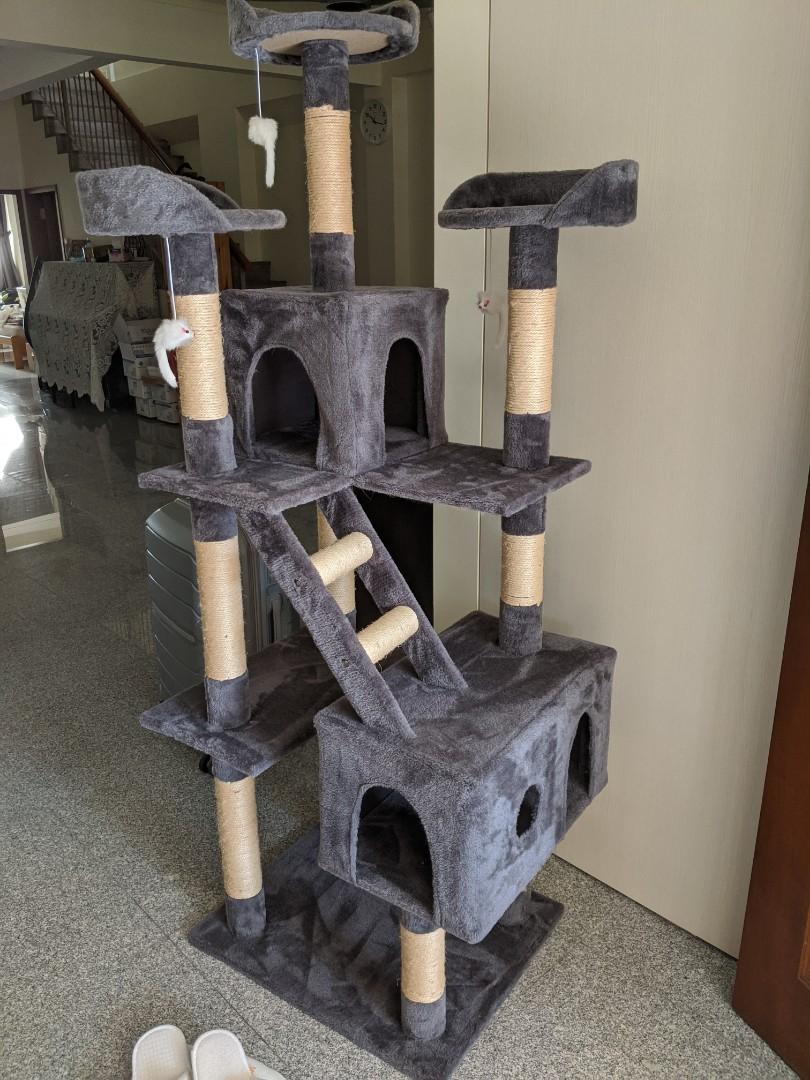 biggest cat condo