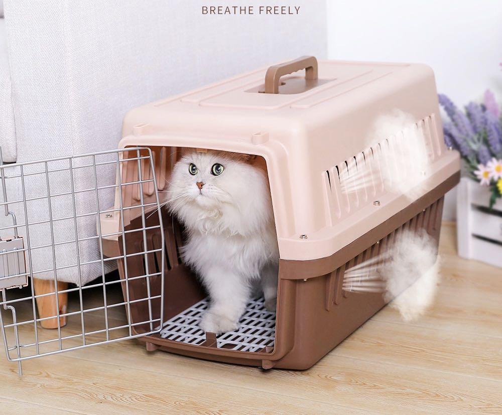 Small 58X37x37cm IATA Dog Shipping Crate Cat Shipping Crate IATA