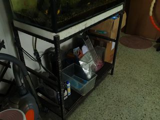 (Category: ) located in . Submitted by louisloo85 (Listing ID 1026124026, Image 1). Description: .