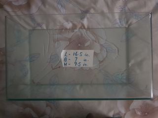 (Category: ) located in . Submitted by youngdragon.47b30d (Listing ID 1026228280, Image 1). Description: .