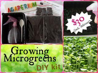 Growing Microgreens and Sprouts DIY kit