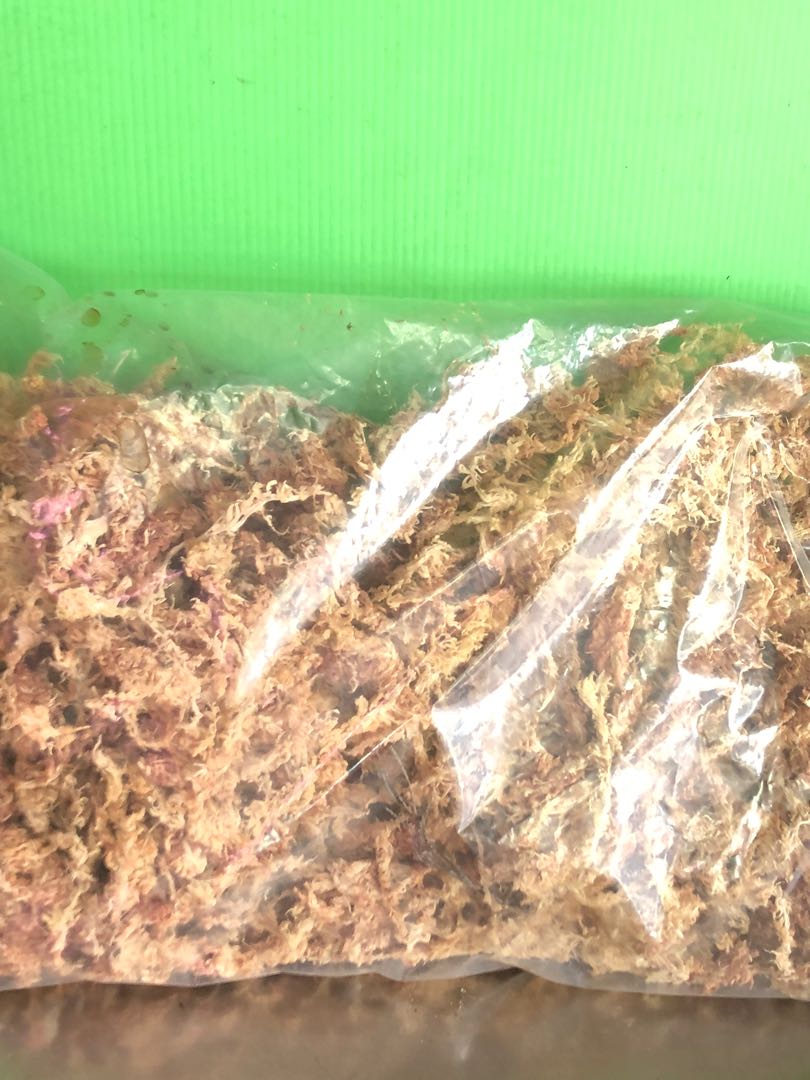 1Sphagnum Moss 2Vermiculite fine. 3 Sand. 4 Quality Peat Moss. 5