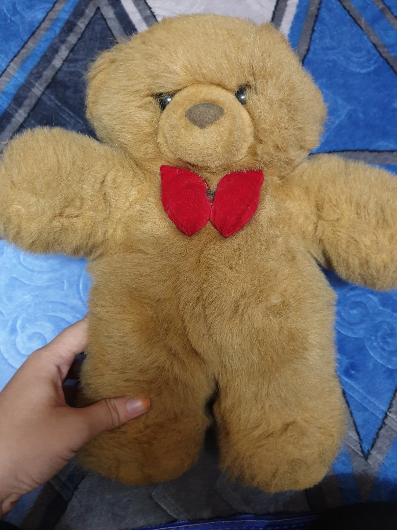 peeko teddy bear