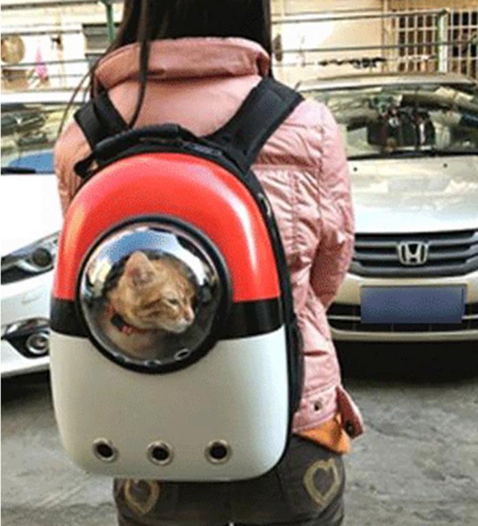 Pokeball deals cat carrier